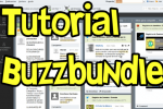 tutorial español buzzbundle